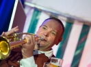 Bezirksmusikfest 2015_124