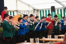 Bezirksmusikfest 2015_136