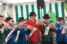 Bezirksmusikfest 2015_137