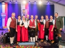 Bezirksmusikfest 2015_293