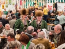 Bezirksmusikfest 2015_307