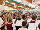 Bezirksmusikfest 2015_312
