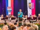 Bezirksmusikfest 2015_313