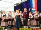 Bezirksmusikfest 2015_319