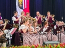 Bezirksmusikfest 2015_321