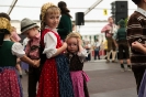 Bezirksmusikfest 2015_38