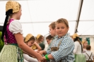 Bezirksmusikfest 2015_44