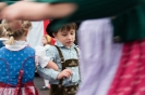 Bezirksmusikfest 2015_45
